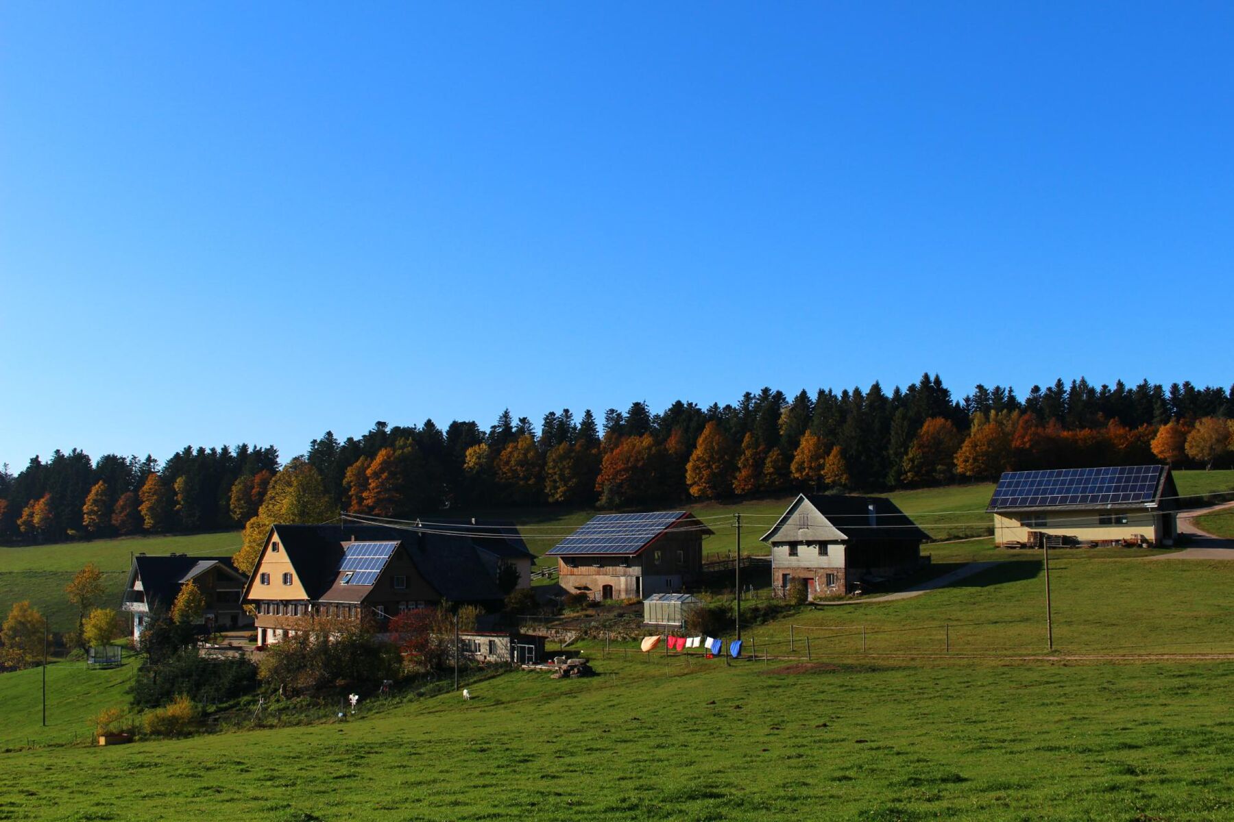 Urlaub auf dem Gebelehof