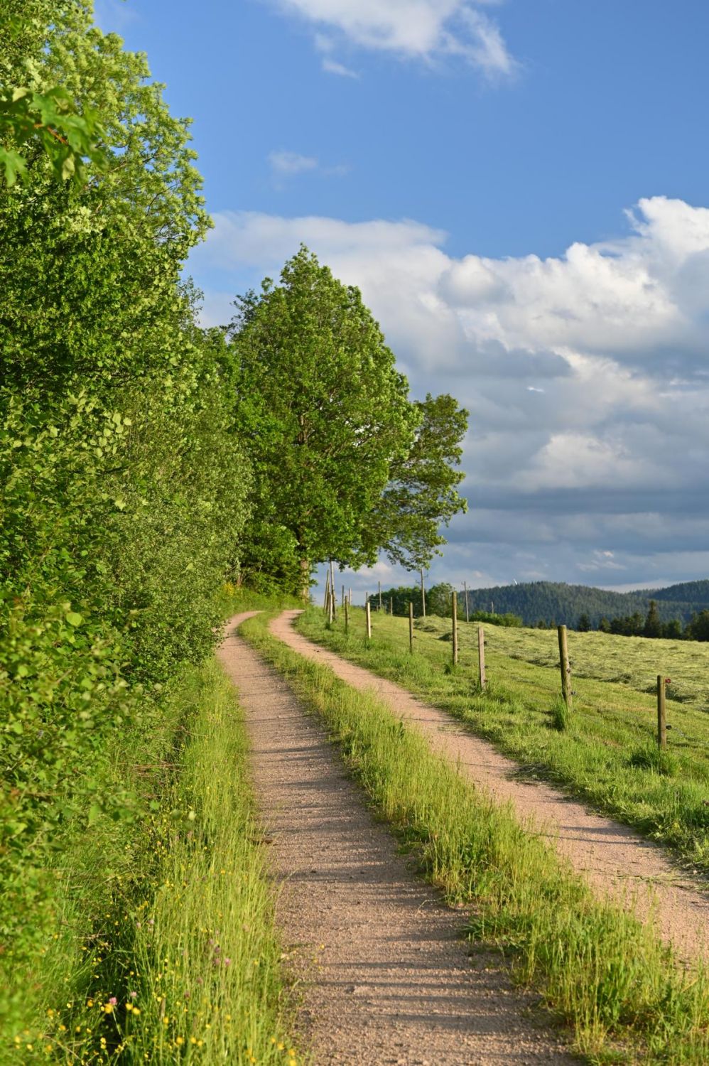 Urlaub auf dem Gebelehof
